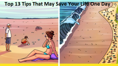 Save Your Life One Day